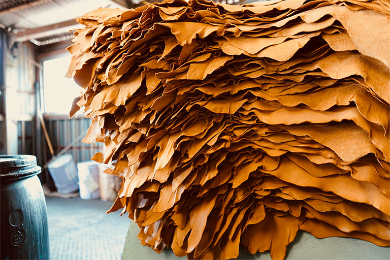 Photo of the tanneries03